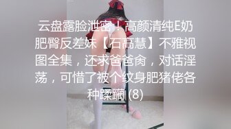 云盘露脸泄密！高颜清纯E奶肥臀反差妹【石高慧】不雅视图全集，还求爸爸肏，对话淫荡，可惜了被个纹身肥猪佬各种蹂躏 (8)