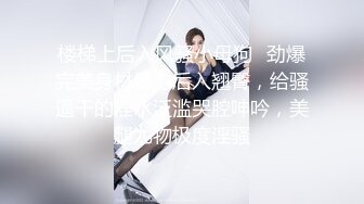 杉本彩《花与蛇2》精华片段5