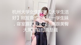 正面干dg少妇