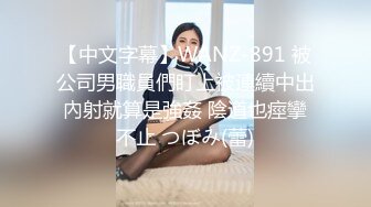 [BIJN-219] THE ドキュメント 本能丸出しでする絶頂SEX バツイチ巨乳OL汁まみれ快楽絶頂乱交 冨安れおな