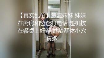 起点传媒 性视界传媒 XSJ152 撸顶记之太后的寝宫 莉娜