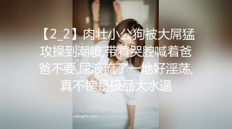 高价良家云盘流出【beauty】(下)，极品反差女友，白富美完美女神，做爱视频上下皆粉