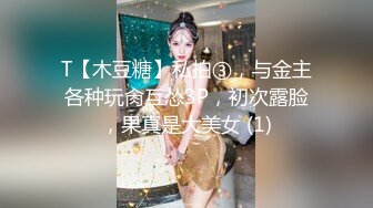 自宅警备员2 第四话 爆乳未亡人叔母・志保 ～苏える淫欲～