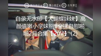 自录无水印【大蝴蝶妹妹】高颜值嫩小学妹掰B全裸自慰啪啪2月合集【20V】 (2)