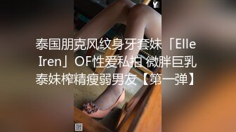 泰国朋克风纹身牙套妹「Elle Iren」OF性爱私拍 微胖巨乳泰妹榨精瘦弱男友【第一弹】