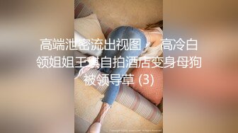 高三极品jk装调教第一部验证达人