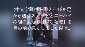 (中文字幕)すらりと伸びた足から覗くスカートとニーハイの間の太もも「絶対領域」を目の前で見てしまった僕は…4