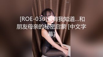  [ROE-030]只有我知道…和朋友母亲的秘密启蒙 [中文字幕]