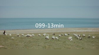 099-13min