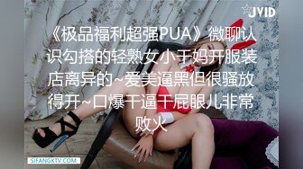 骚母狗大合集