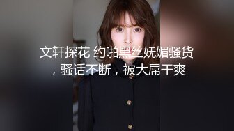 文轩探花 约啪黑丝妩媚骚货，骚话不断，被大屌干爽