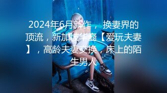 国产麻豆AV MD MD0039 女优面试员 叶一涵