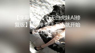 91大神斯文禽兽双飞情趣衣性感姐妹花