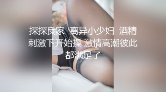 十分耐玩的少妇4