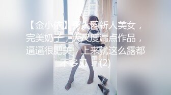 【金小依】秀人网新人美女，完美奶子，大尺度漏点作品，逼逼很肥美，上来就这么露都不多见！ (2)