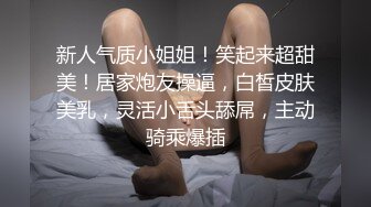 小姐姐需要爱