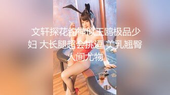  文轩探花约神似王鸥极品少妇 大长腿超会挑逗 美乳翘臀人间尤物