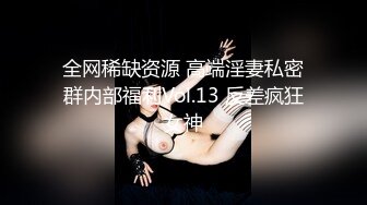 10/21最新 温柔甜美新人小姐姐半脱下内裤振动棒磨蹭多毛骚穴VIP1196