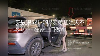 三只狼SZL-012表弟趁姐夫不在家上门做客