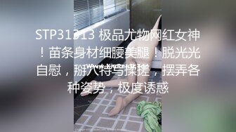 唯美MV风格露出达人萍萍系列第3部 旅游景区内的无限挑逗