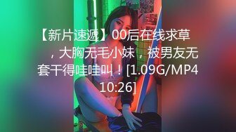 SWAG 巨乳旗袍下女的淫蕩誘惑｜PM001