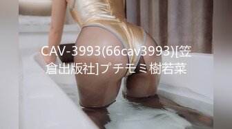 CAV-3993(66cav3993)[笠倉出版社]プチモミ樹若菜