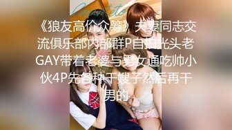 星之迟迟 23年12月计划C明日奈女仆