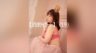 【西野佳一】 (19)