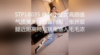 STP18035 咪咪小仙女高颜值气质美女带面罩自慰，张开双腿近距离特写跳蛋塞入毛毛浓密