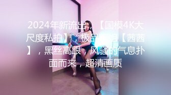 高铁极品坑闺蜜抄底！都是颜值不错的小姐姐们[4K超清无水原版] (10)