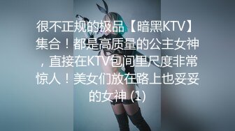 很不正规的极品【暗黑KTV】集合！都是高质量的公主女神，直接在KTV包间里尺度非常惊人！美女们放在路上也妥妥的女神 (1)