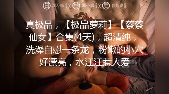 【新片速遞】  吊钟巨乳jk学生妹 哥哥 你慢点 被后入猛怼 豪乳又大又软 稀毛鲍鱼粉嫩 操的超舒爽