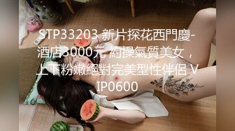 STP33203 新片探花西門慶-酒店3000元 約操氣質美女，上下粉嫩絕對完美型性伴侶 VIP0600