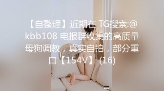 【自整理】近期在 TG搜索:@kbb108 电报群收集的高质量母狗调教，真实自拍，部分重口【154V】 (16)