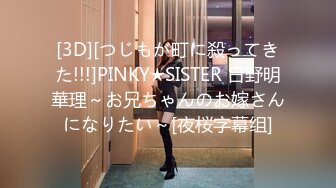 [3D][つじもが町に殺ってきた!!!]PINKY★SISTER 日野明華理～お兄ちゃんのお嫁さんになりたい～[夜桜字幕组]