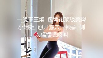 STP16393 花臂纹身妹子啪啪，苗条身材口交骑乘自己动抬腿侧入猛操