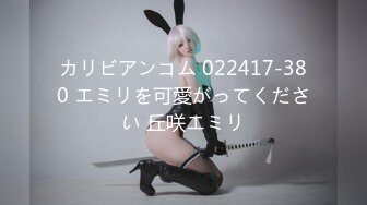 カリビアンコム 022417-380 エミリを可愛がってください 丘咲エミリ