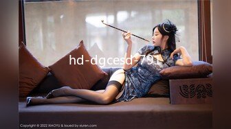 hd-dgcesd-791