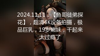 商场女厕小手电补光偷拍多位美女小姐姐的肥美嫩鲍鱼 (4)