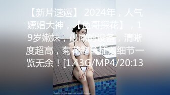 MD-0336爆乳候选人政见发表会