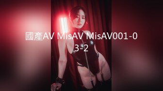 國產AV MisAV MisAV001-03-2